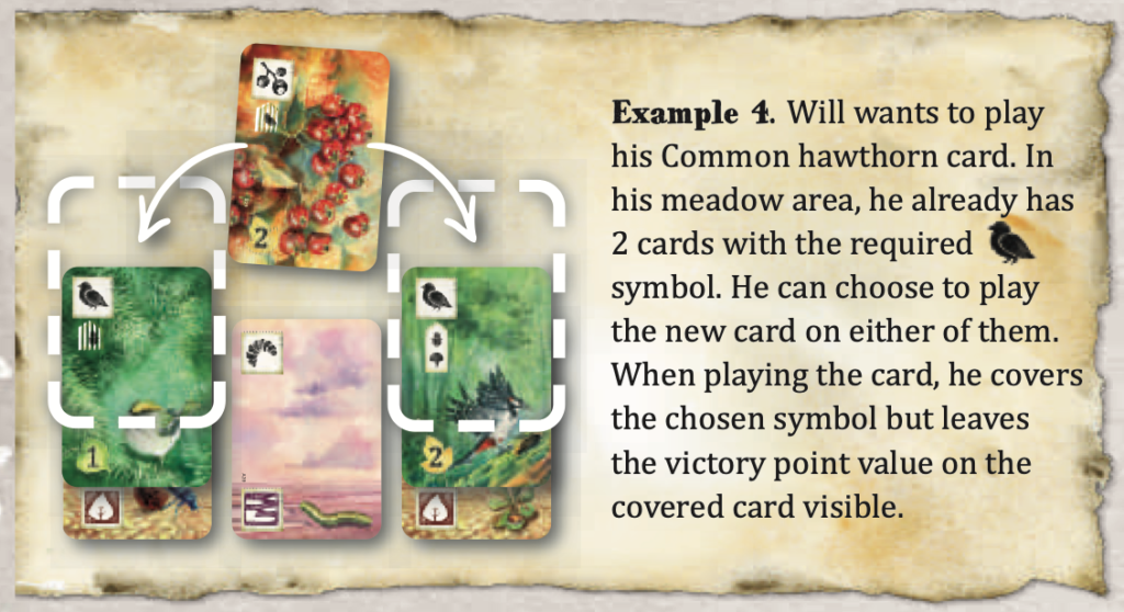 A look at an example from the rulebook for Meadow.